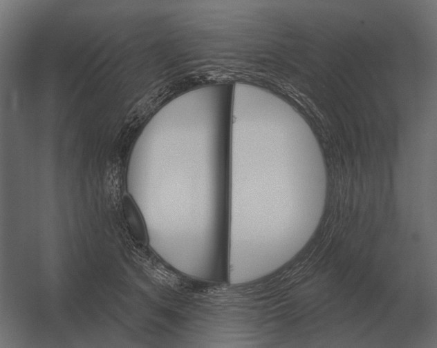 X0000052940513200507300022