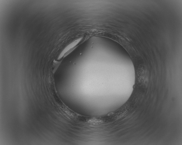 X0000052940515200507300022