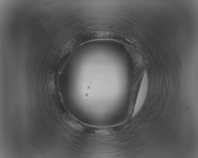 X0000052940516200507300022