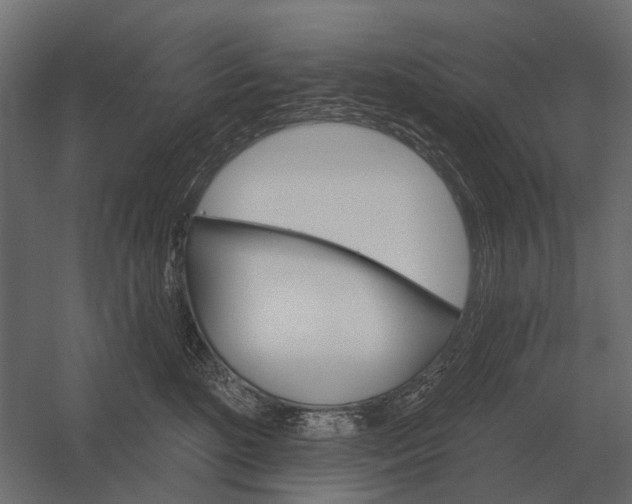 X0000052940520200507300022