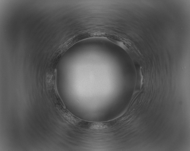 X0000052940521200507300022