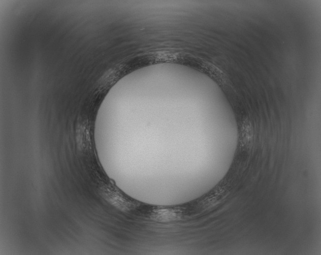 X0000052940522200507300021