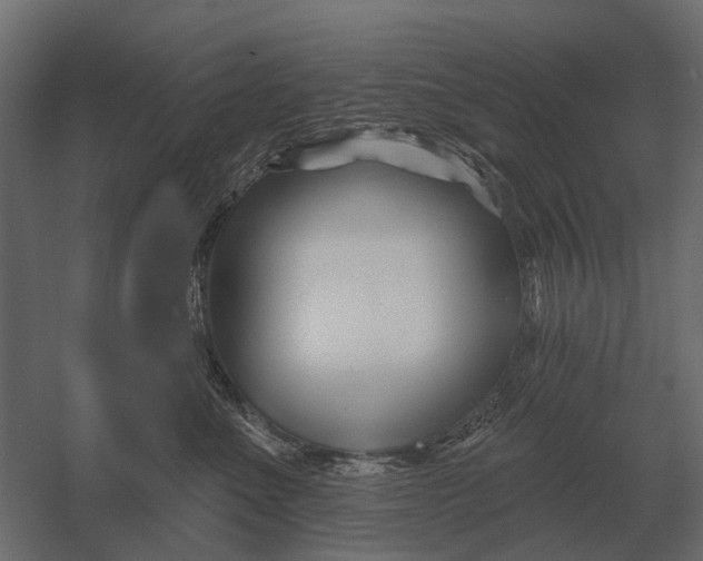 X0000052940523200507300021