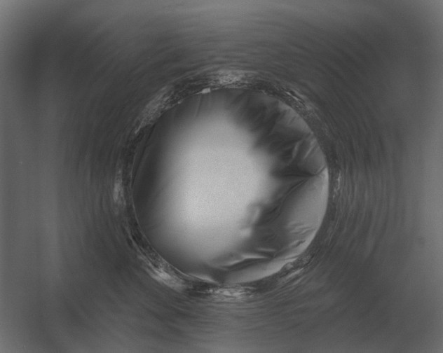 X0000052940524200507300021