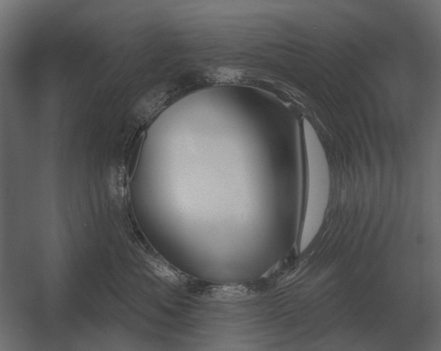 X0000052940525200507300021