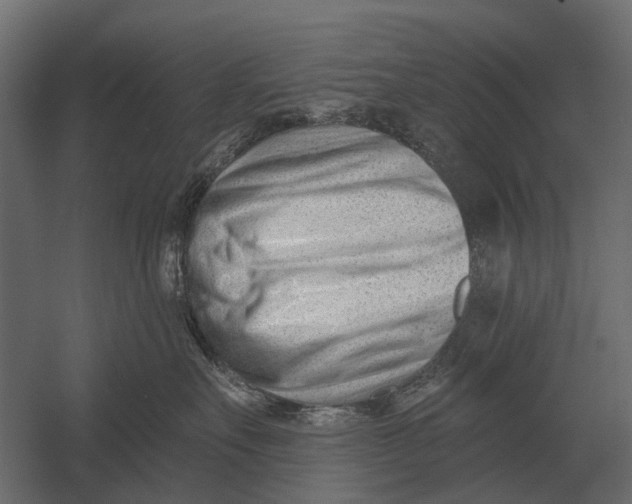 X0000052940527200507300021