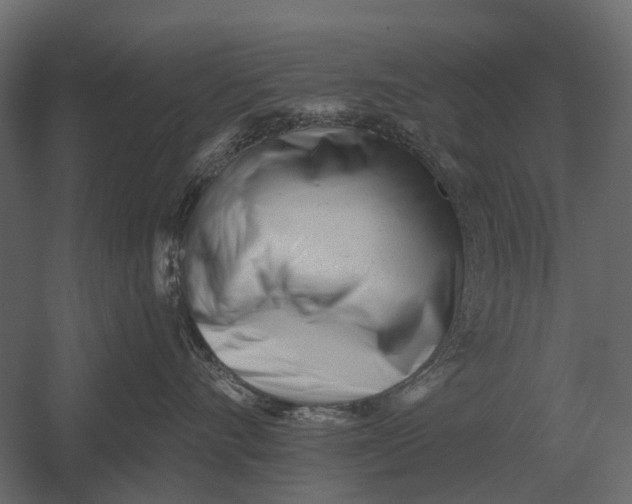 X0000052940528200507300021