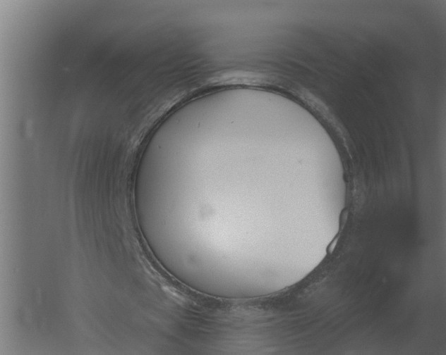 X0000052940529200507300021