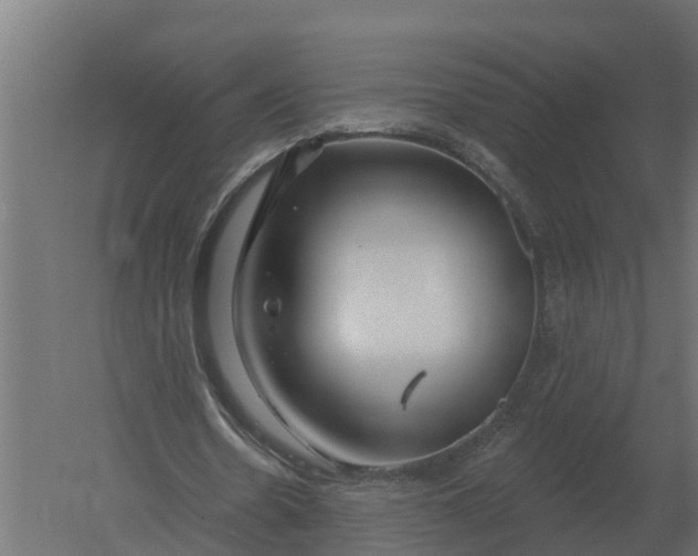 X0000052940530200507300021