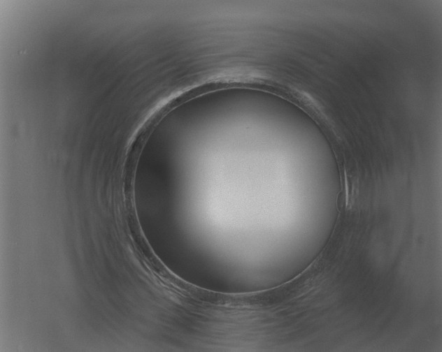 X0000052940531200507300021