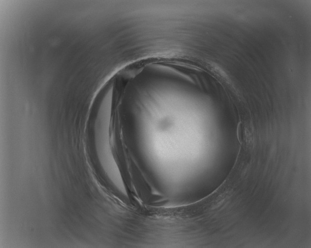 X0000052940532200507300021