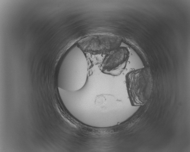 X0000052940533200507300021