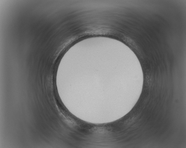 X0000052940534200507300021