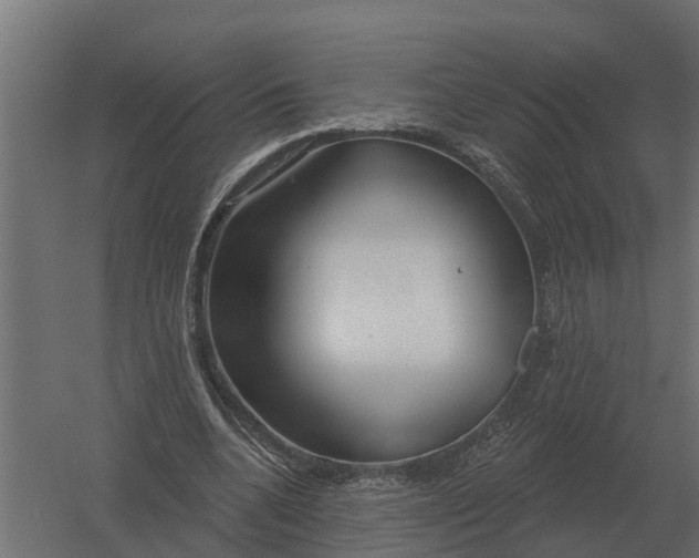 X0000052940536200507300021