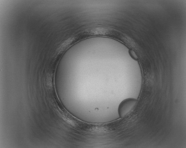 X0000052940537200507300021