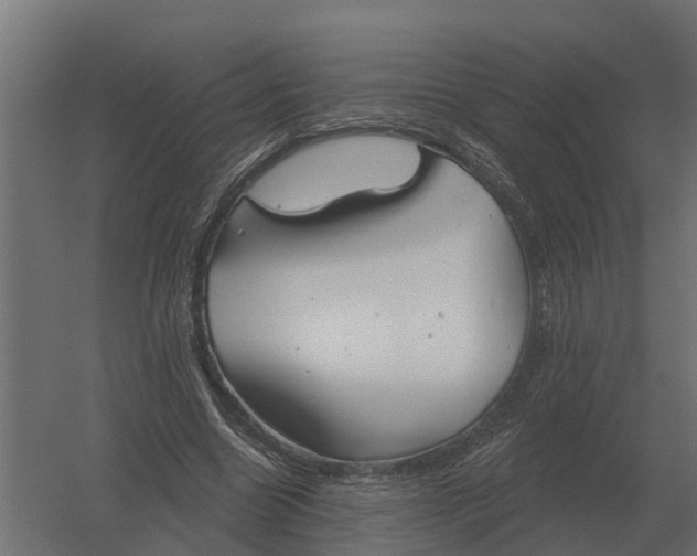 X0000052940538200507300021