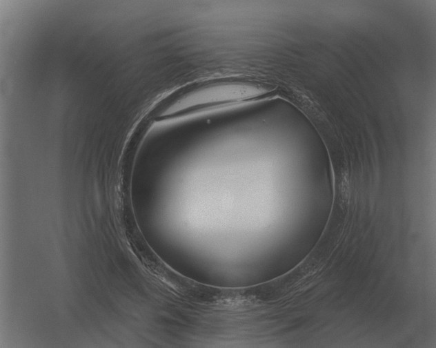 X0000052940540200507300021