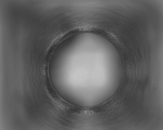 X0000052940543200507300021