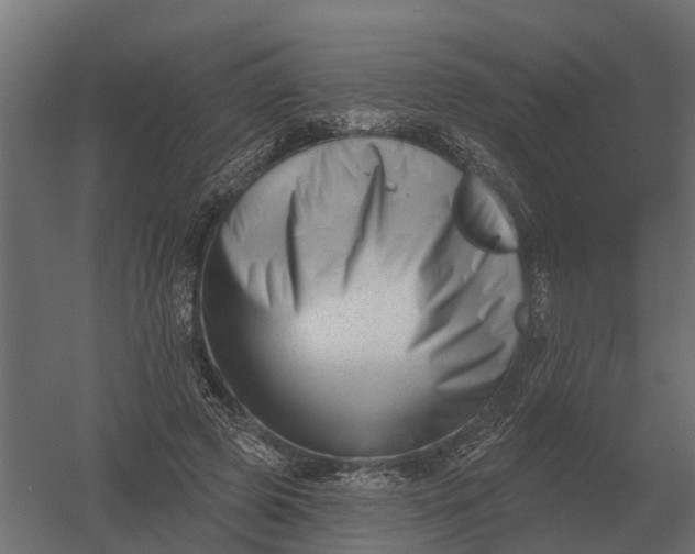 X0000052940545200507300021