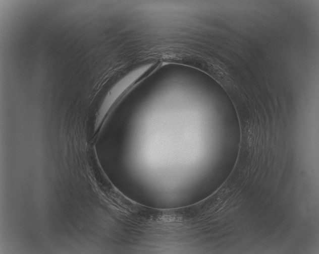 X0000052940546200507300021