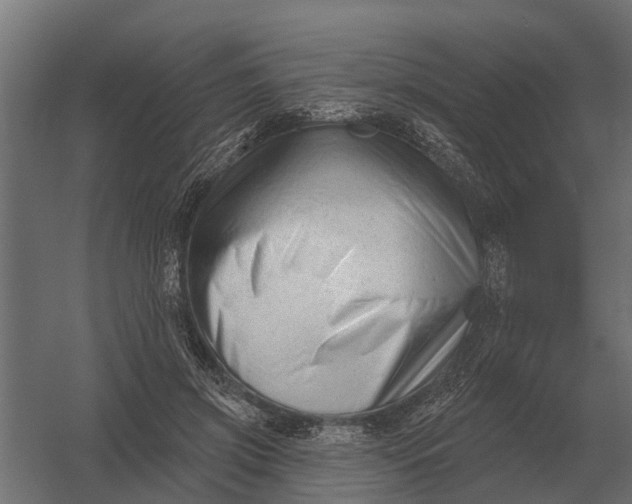 X0000052940549200507300021