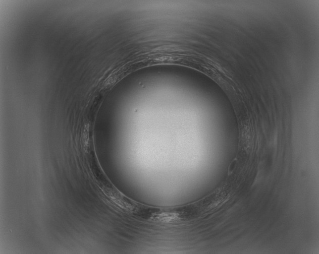 X0000052940554200507300021