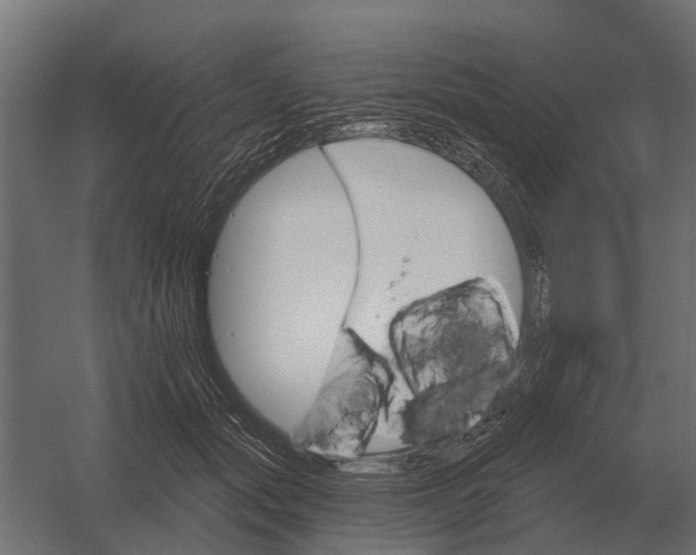 X0000052940557200507300021