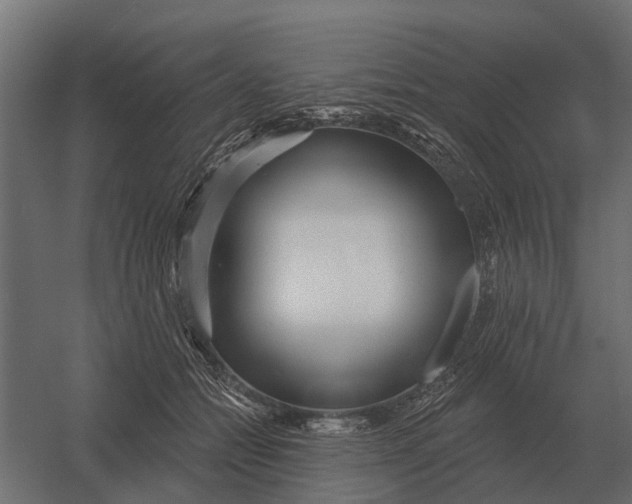 X0000052940558200507300021