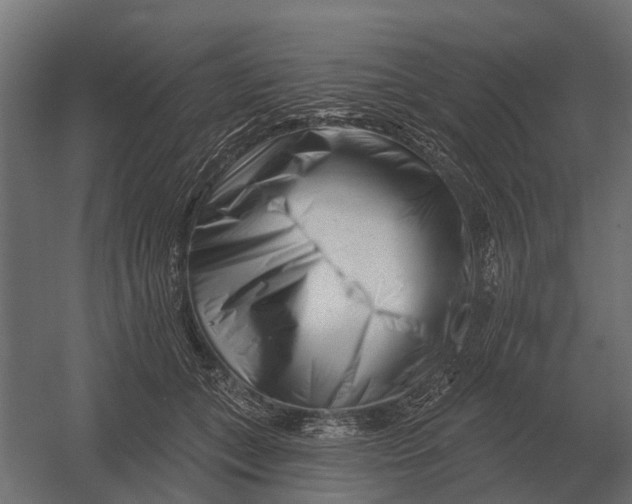 X0000052940559200507300021