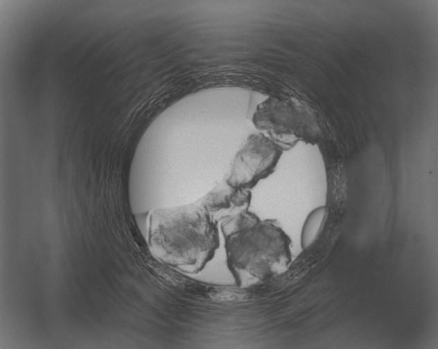 X0000052940561200507300021