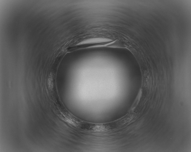 X0000052940562200507300021