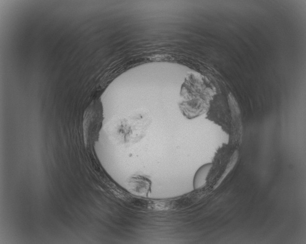 X0000052940565200507300021