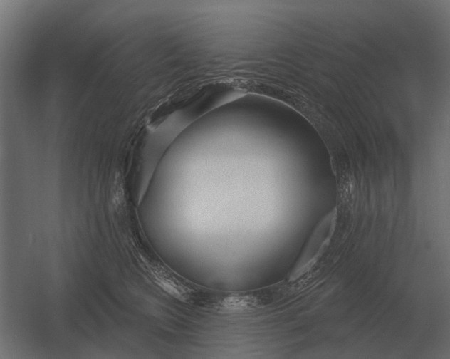 X0000052940566200507300021