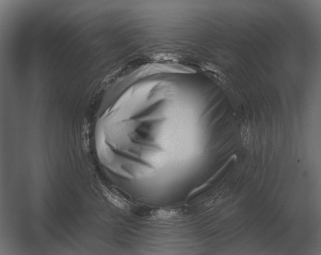 X0000052940570200507300021