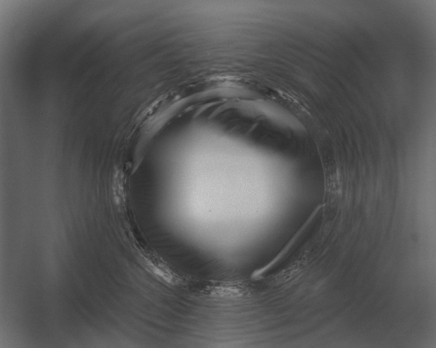 X0000052940572200507300021