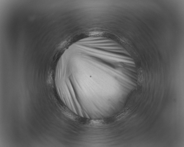 X0000052940573200507300021