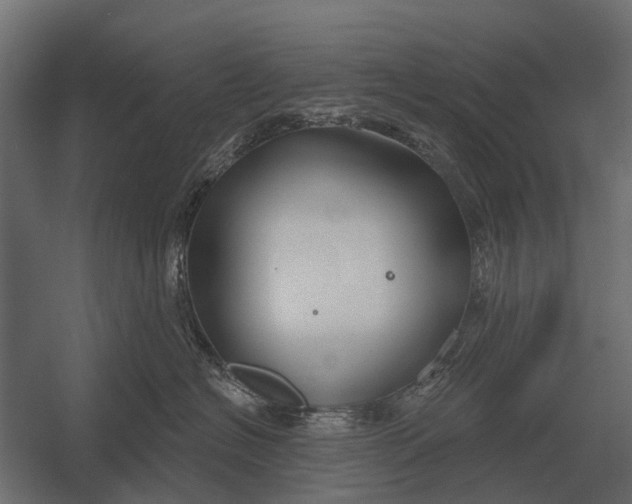 X0000052940574200507300021