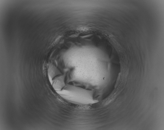 X0000052940576200507300021