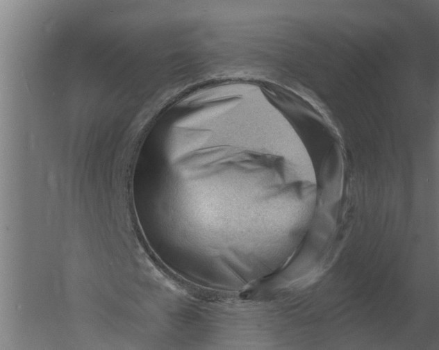 X0000052940577200507300021