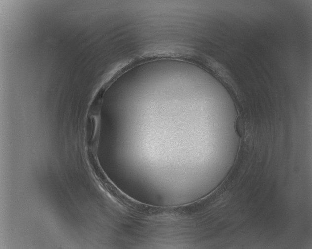 X0000052940578200507300021