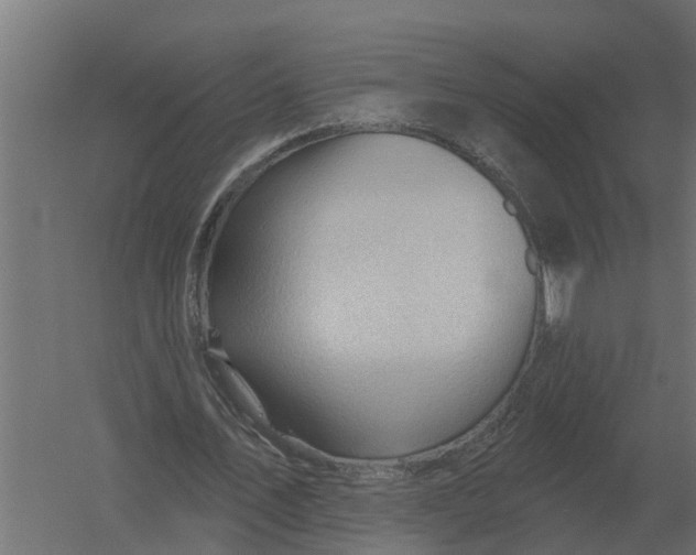 X0000052940579200507300021