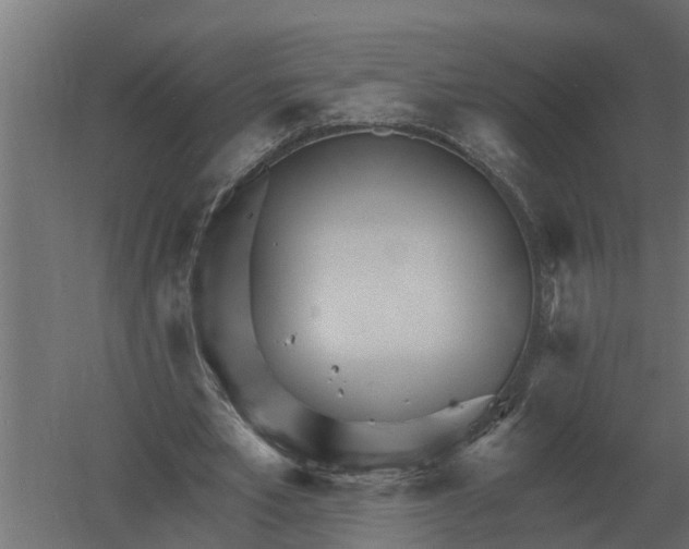 X0000052940581200507300020