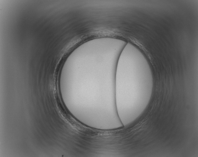 X0000052940582200507300020