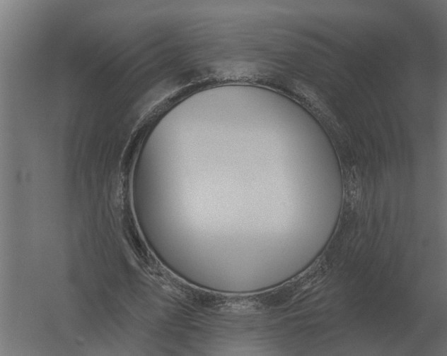 X0000052940583200507300020