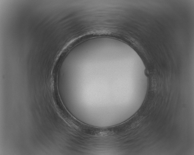 X0000052940584200507300020