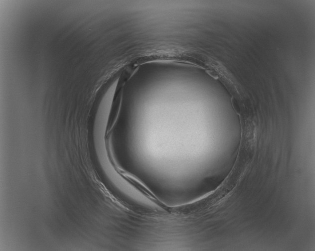 X0000052940585200507300020