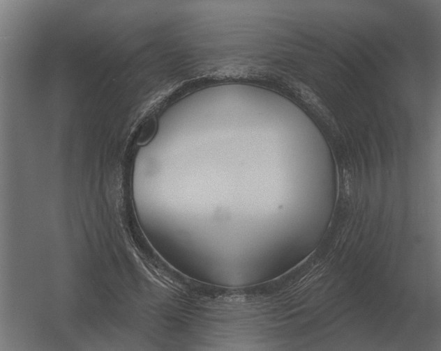 X0000052940588200507300020