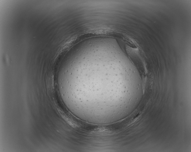 X0000052940589200507300020