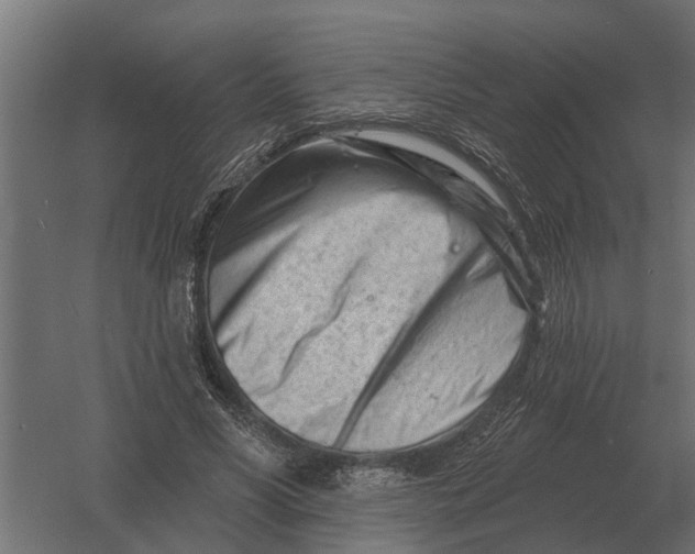 X0000052940590200507300020