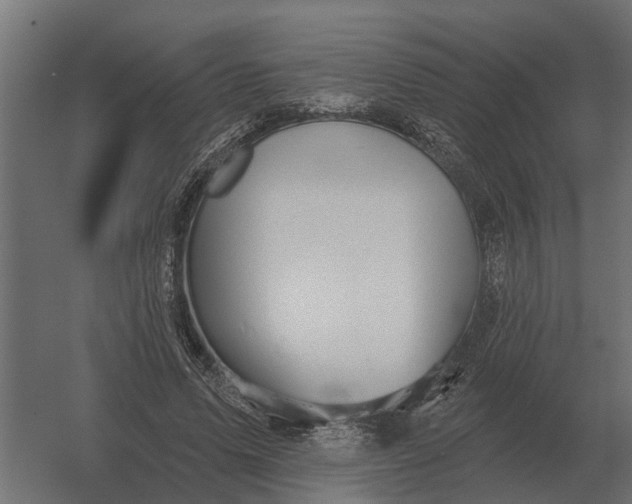 X0000052940591200507300020